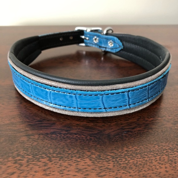 Leather padded dog collar - Picture 1 of 4